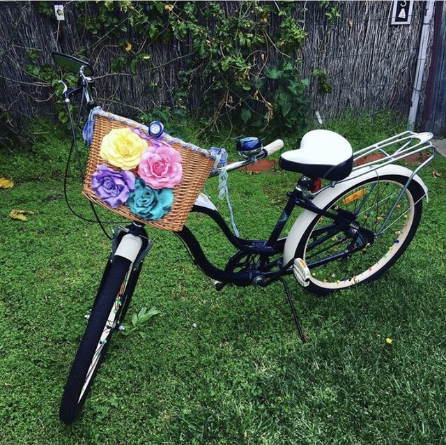 schwinn debutante cruiser